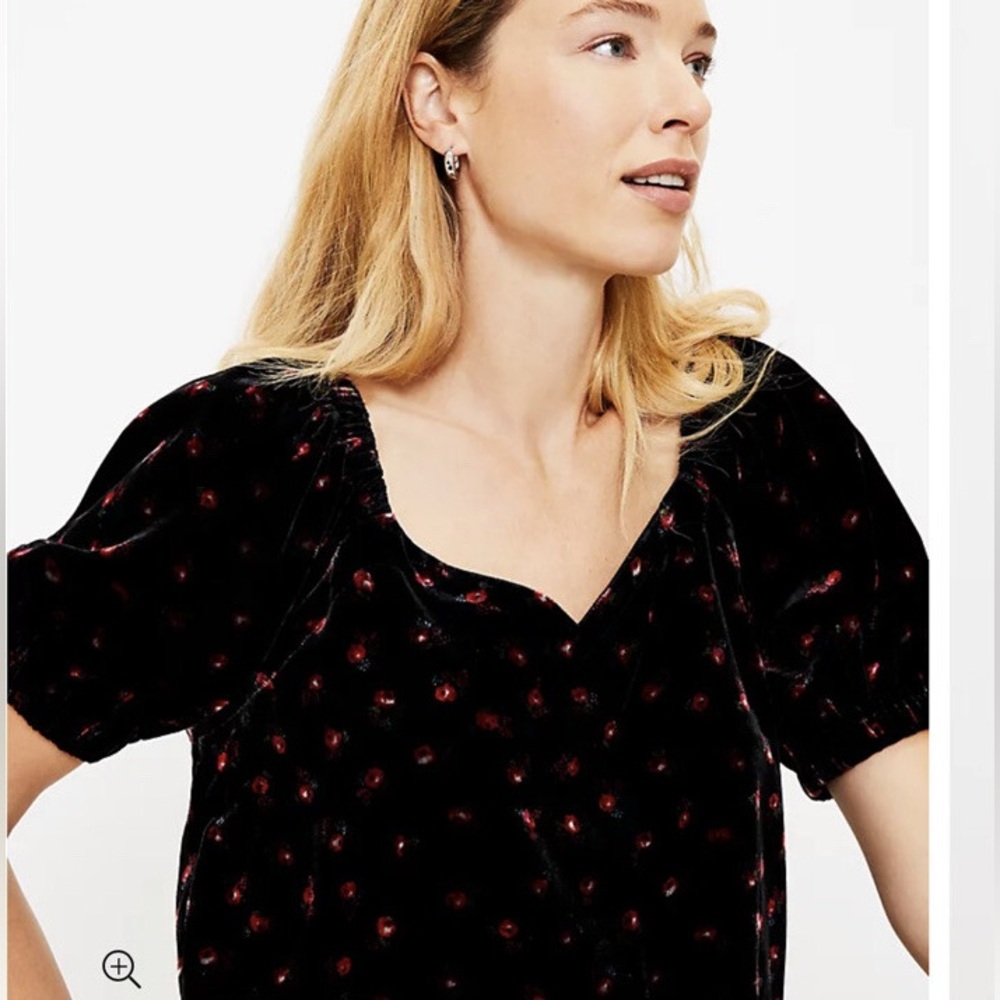 NWT LOFT Floral Black Velvet Puff Sleeve Blouse Size Medium - Picture 2 of 9